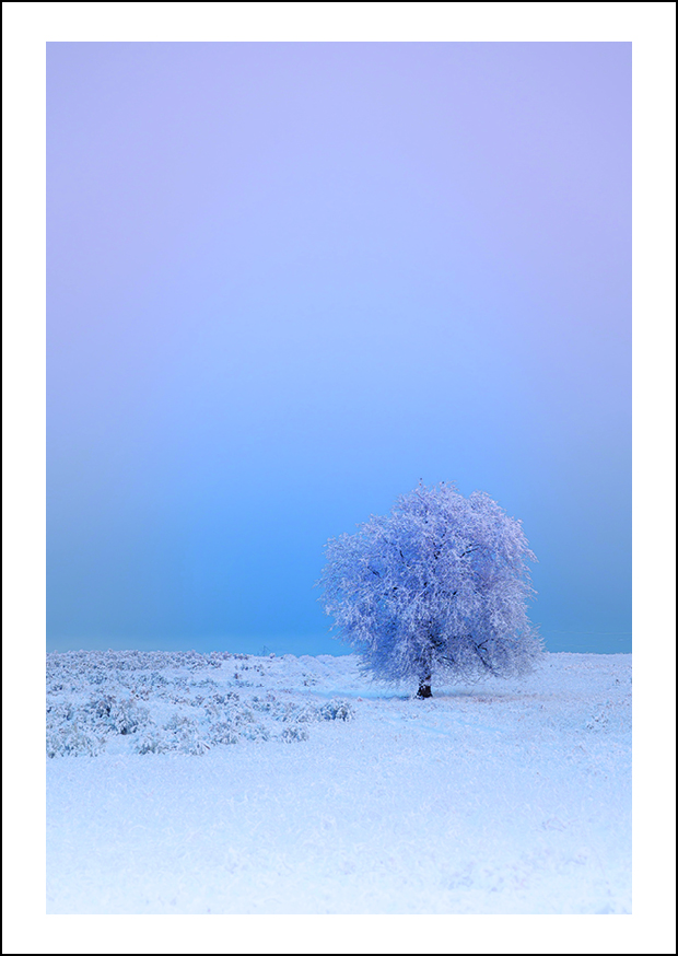 A5_hoch_KP_144