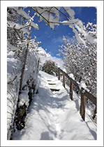 A5_hoch_SP_29