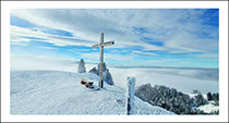 a65_quer_kp_161